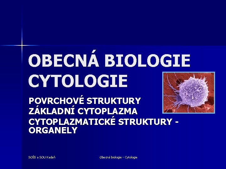 OBECNÁ BIOLOGIE CYTOLOGIE POVRCHOVÉ STRUKTURY ZÁKLADNÍ CYTOPLAZMATICKÉ STRUKTURY - ORGANELY SOŠS a SOU Kadaň