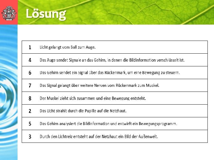 Lösung 