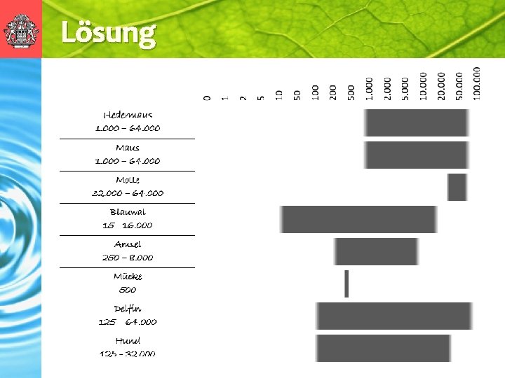 Lösung 