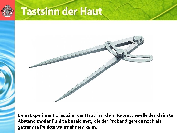 Tastsinn der Haut Beim Experiment „Tastsinn der Haut“ wird als Raumschwelle der kleinste Abstand