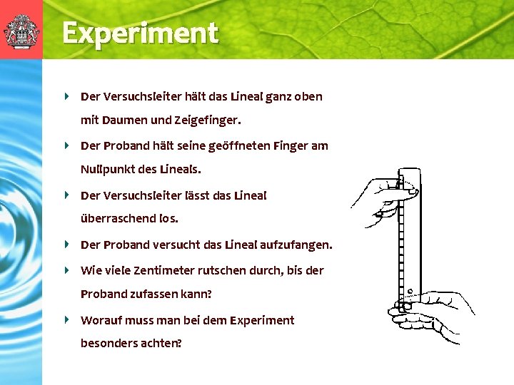 Experiment Der Versuchsleiter hält das Lineal ganz oben mit Daumen und Zeigefinger. Der Proband