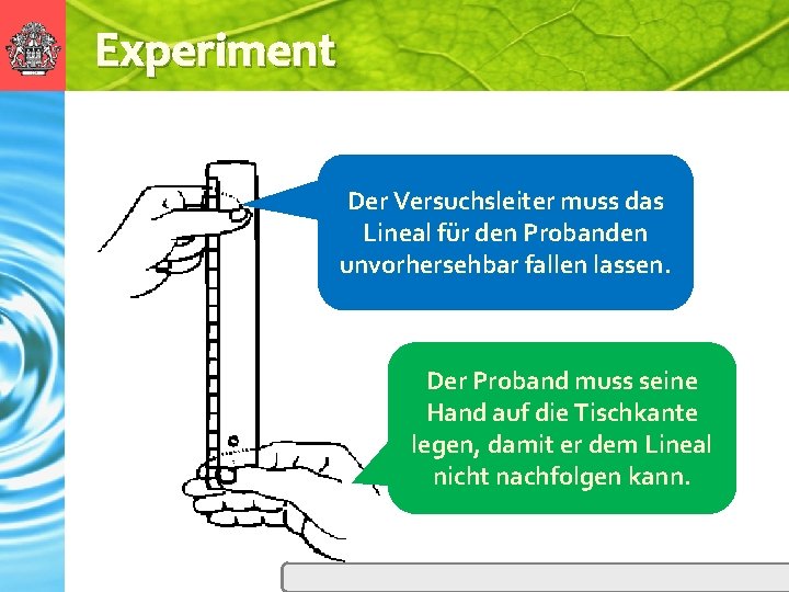 Experiment Der Versuchsleiter muss das Lineal für den Probanden unvorhersehbar fallen lassen. Der Proband