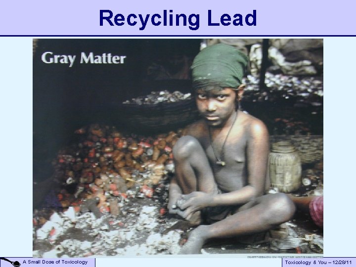 Recycling Lead A Small Dose of Toxicology & You – 12/28/11 Recycling Lead A Small Dose of Toxicology & You – 12/28/11