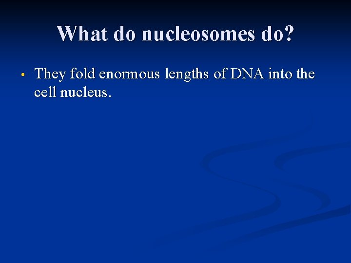 What do nucleosomes do? • They fold enormous lengths of DNA into the cell What do nucleosomes do? • They fold enormous lengths of DNA into the cell