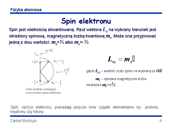 Fizyka atomowa Spin elektronu Spin jest wielkością skwantowaną. Rzut wektora Ls na wybrany kierunek