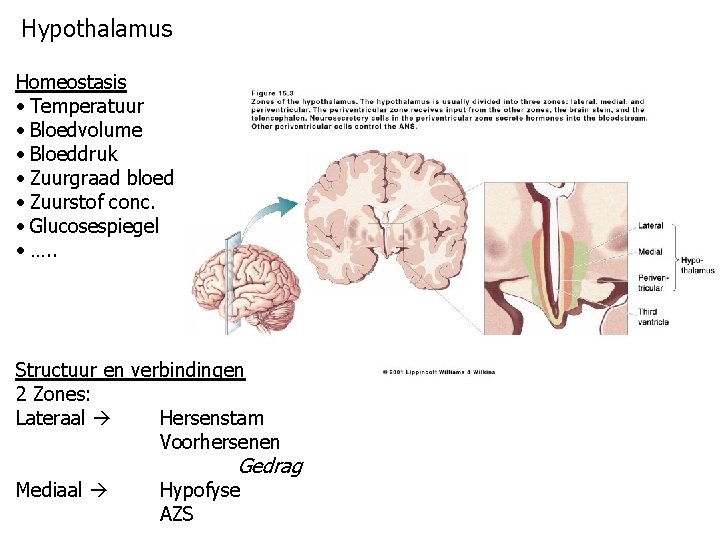 Hypothalamus Homeostasis • Temperatuur • Bloedvolume • Bloeddruk • Zuurgraad bloed • Zuurstof conc.