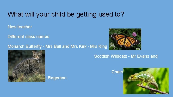 What will your child be getting used to? New teacher Different class names Monarch