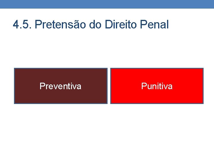 4. 5. Pretensão do Direito Penal Preventiva Punitiva 