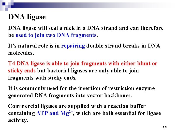 DNA ligase will seal a nick in a DNA strand can therefore be used