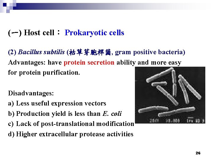 (一) Host cell： Prokaryotic cells (2) Bacillus subtilis (枯草芽胞桿菌, gram positive bacteria) Advantages: have