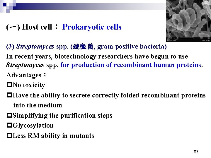 (一) Host cell： Prokaryotic cells (3) Streptomyces spp. (鏈黴菌, gram positive bacteria) In recent