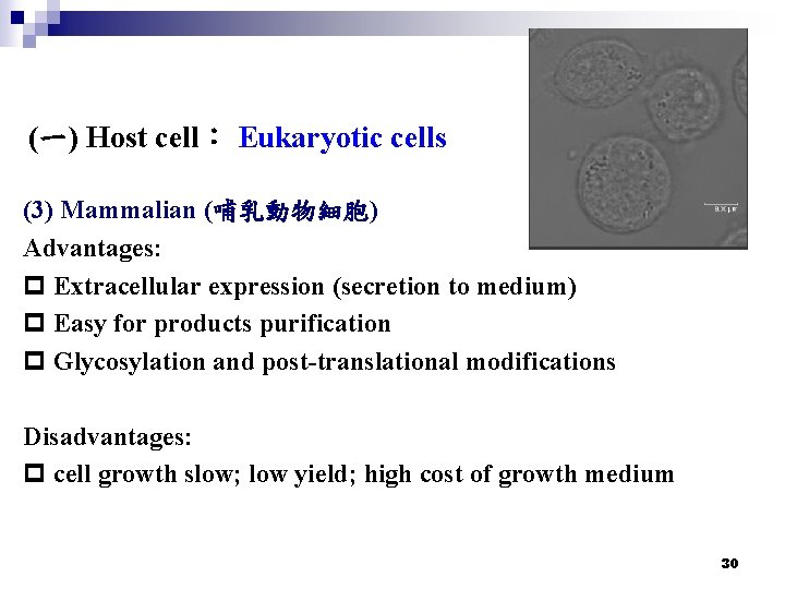 (一) Host cell： Eukaryotic cells (3) Mammalian (哺乳動物細胞) Advantages: p Extracellular expression (secretion to