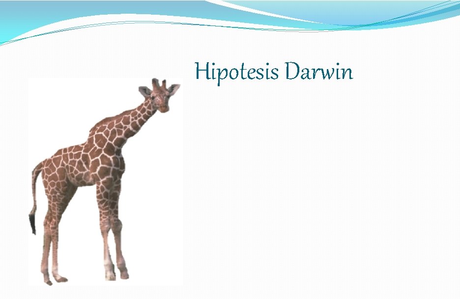 Hipotesis Darwin 