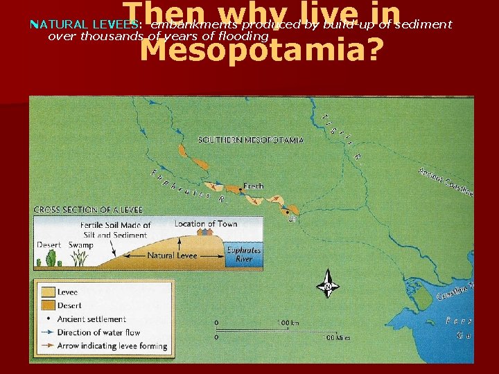 Then why live in Mesopotamia? NATURAL LEVEES: embankments produced by build-up of sediment over