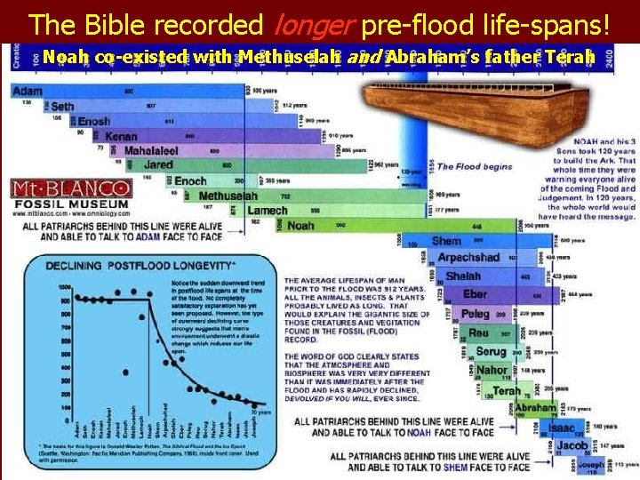 The Bible recorded longer pre-flood life-spans! Noah co-existed with Methuselah and Abraham’s father Terah