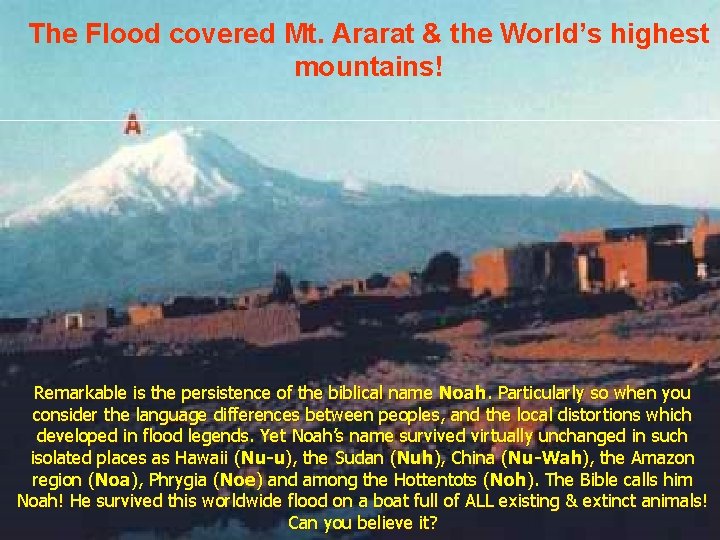 The Flood covered Mt. Ararat & the World’s highest mountains! Remarkable is the persistence