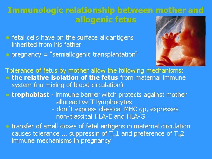 Immunologic relationship between mother and allogenic fetus ● fetal cells have on the surface