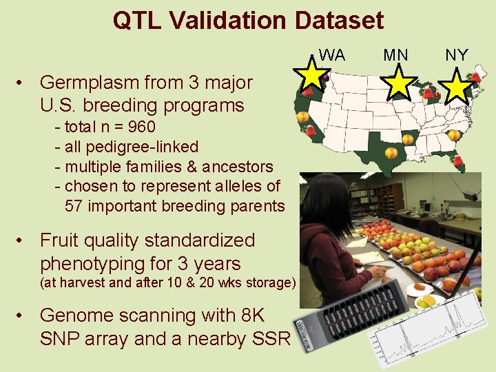 QTL Validation Dataset WA • Germplasm from 3 major U. S. breeding programs -