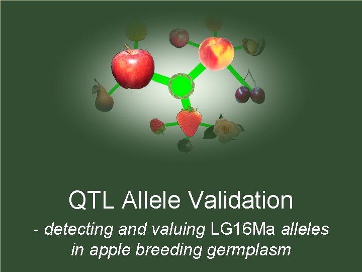 QTL Allele Validation - detecting and valuing LG 16 Ma alleles in apple breeding