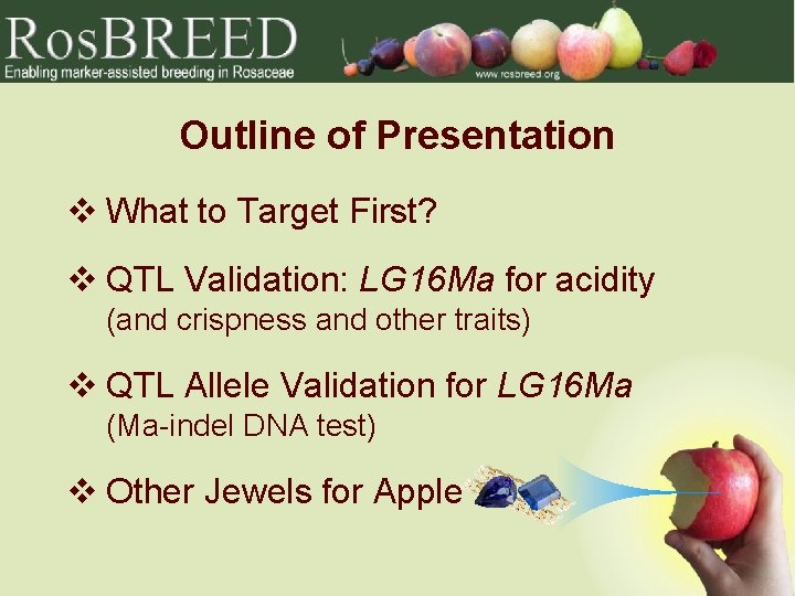 Outline of Presentation v What to Target First? v QTL Validation: LG 16 Ma