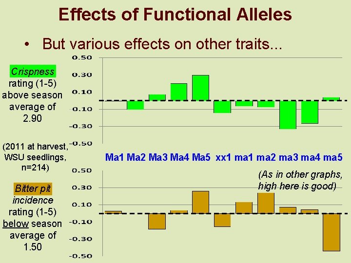 Effects of Functional Alleles • But various effects on other traits. . . Crispness