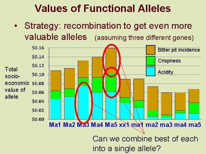 Values of Functional Alleles • Strategy: recombination to get even more valuable alleles (assuming