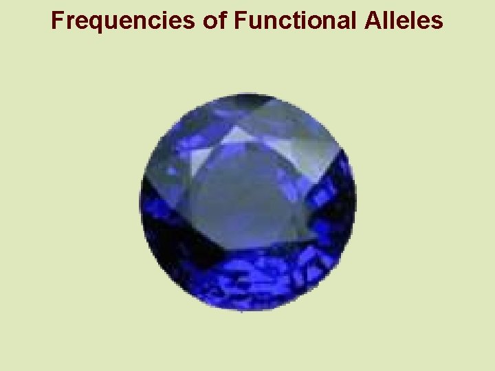 Frequencies of Functional Alleles 