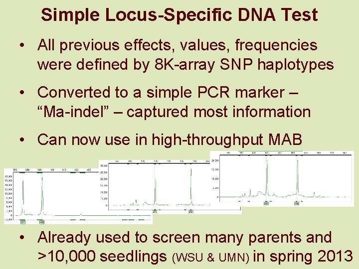 Simple Locus-Specific DNA Test • All previous effects, values, frequencies were defined by 8