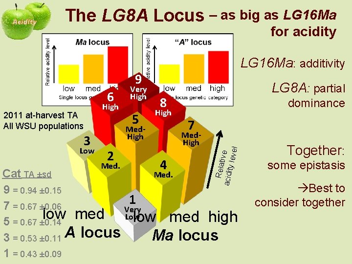 Acidity The LG 8 A Locus – as big as LG 16 Ma for