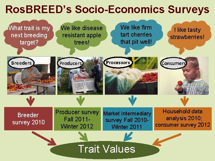 Ros. BREED’s Socio-Economics Surveys What trait is my next breeding target? We like disease