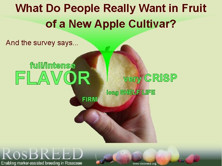 What Do People Really Want in Fruit of a New Apple Cultivar? And the