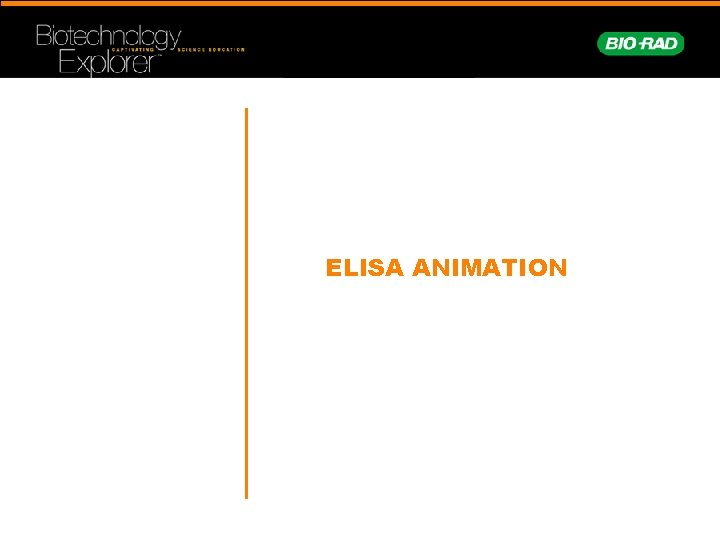 ELISA ANIMATION 