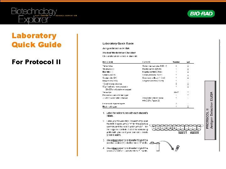 Laboratory Quick Guide For Protocol II 