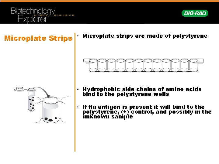 Microplate Strips • Microplate strips are made of polystyrene • Hydrophobic side chains of