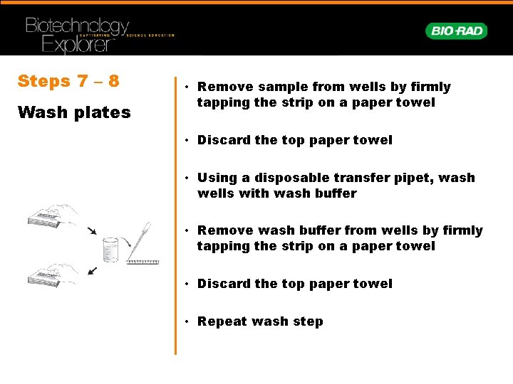 Steps 7 – 8 Wash plates • Remove sample from wells by firmly tapping