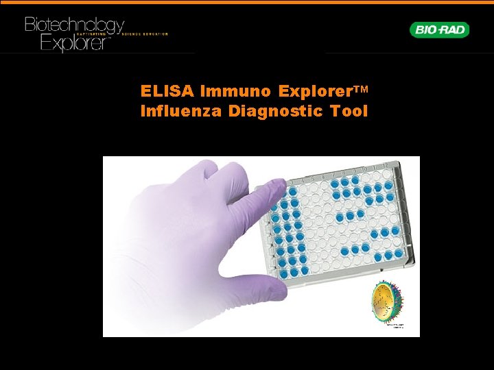 ELISA Immuno Explorer. TM Influenza Diagnostic Tool 