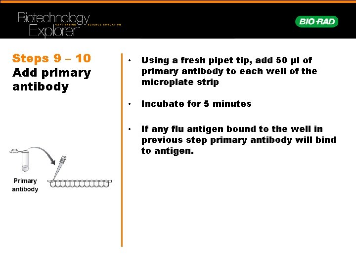 Steps 9 – 10 Add primary antibody • Using a fresh pipet tip, add