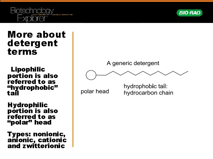 More about detergent terms Lipophilic portion is also referred to as “hydrophobic” tail Hydrophilic