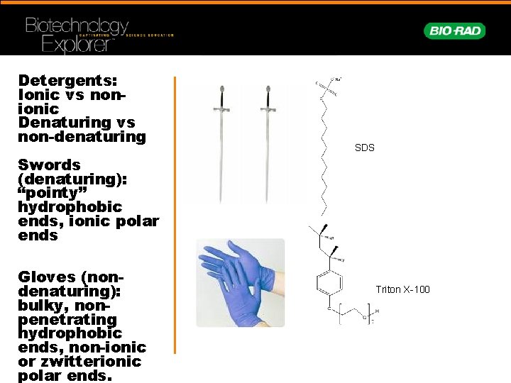 Detergents: Ionic vs nonionic Denaturing vs non-denaturing SDS Swords (denaturing): “pointy” hydrophobic ends, ionic