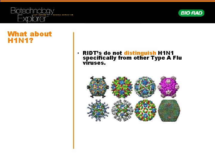 What about H 1 N 1? • RIDT’s do not distinguish H 1 N