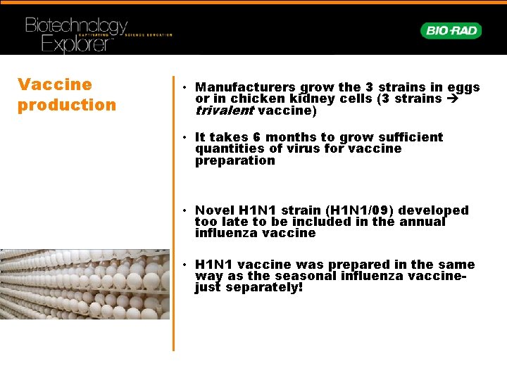 Vaccine production • Manufacturers grow the 3 strains in eggs or in chicken kidney