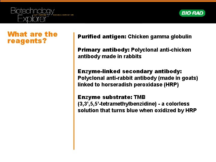 What are the reagents? Purified antigen: Chicken gamma globulin Primary antibody: Polyclonal anti-chicken antibody