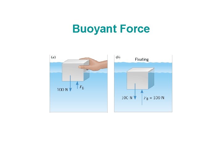 Buoyant Force Buoyant Force