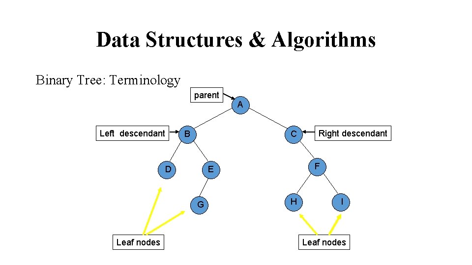 Data Structures & Algorithms Binary Tree: Terminology parent Left descendant B C G Right
