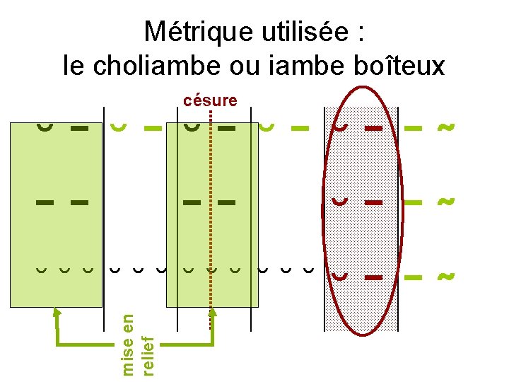 Métrique utilisée : le choliambe ou iambe boîteux césure mise en relief ˘ˉ˘ˉ˘ˉˉ˜ ˉˉ