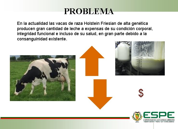 PROBLEMA En la actualidad las vacas de raza Holstein Friesian de alta genética producen