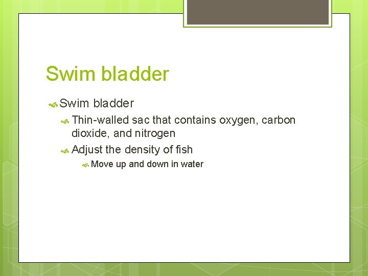 Swim bladder Thin-walled sac that contains oxygen, carbon dioxide, and nitrogen Adjust the density