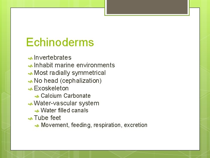 Echinoderms Invertebrates Inhabit marine environments Most radially symmetrical No head (cephalization) Exoskeleton Calcium Carbonate