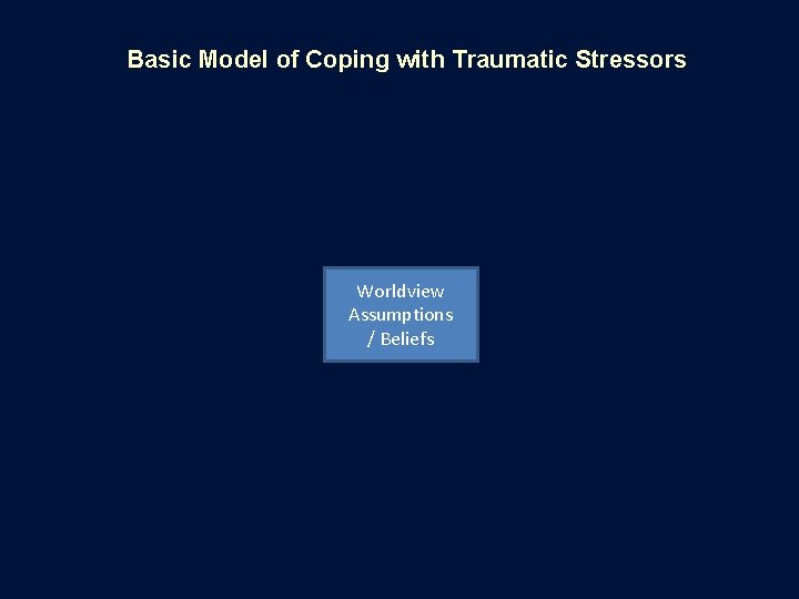 Basic Model of Coping with Traumatic Stressors Worldview Assumptions / Beliefs 