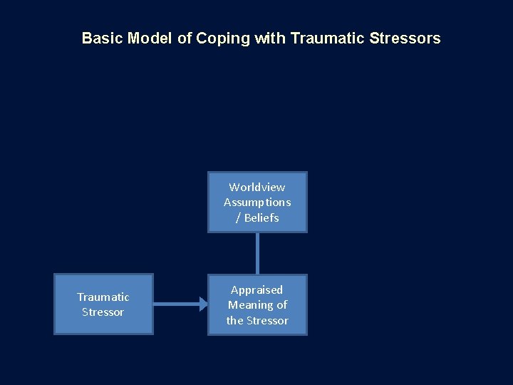 Basic Model of Coping with Traumatic Stressors Worldview Assumptions / Beliefs Traumatic Stressor Appraised